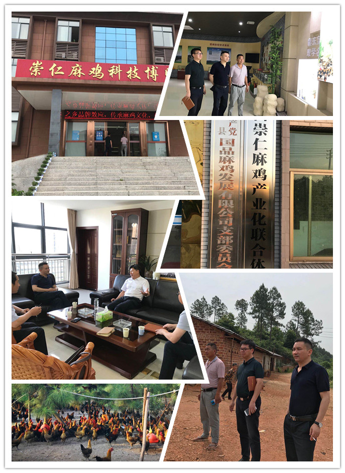 首页-PA集团有限公司官网入口