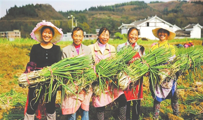首页-PA集团有限公司官网入口