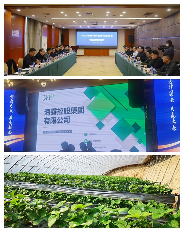 首页-PA集团有限公司官网入口