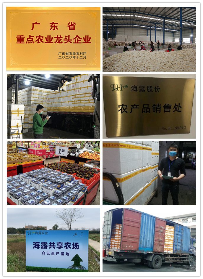 首页-PA集团有限公司官网入口