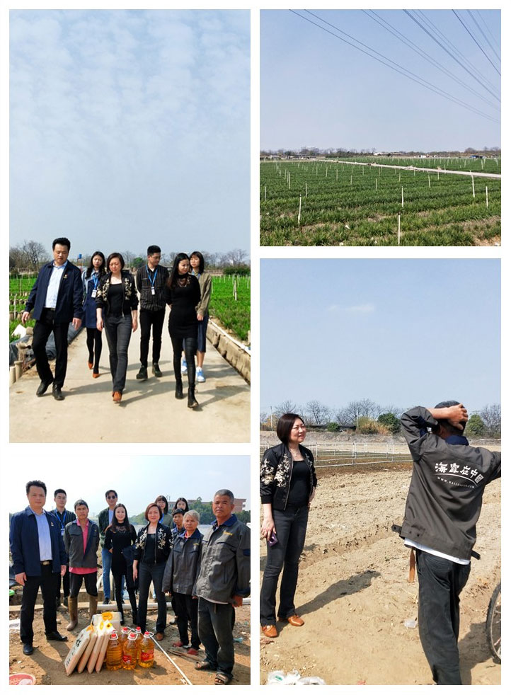 首页-PA集团有限公司官网入口