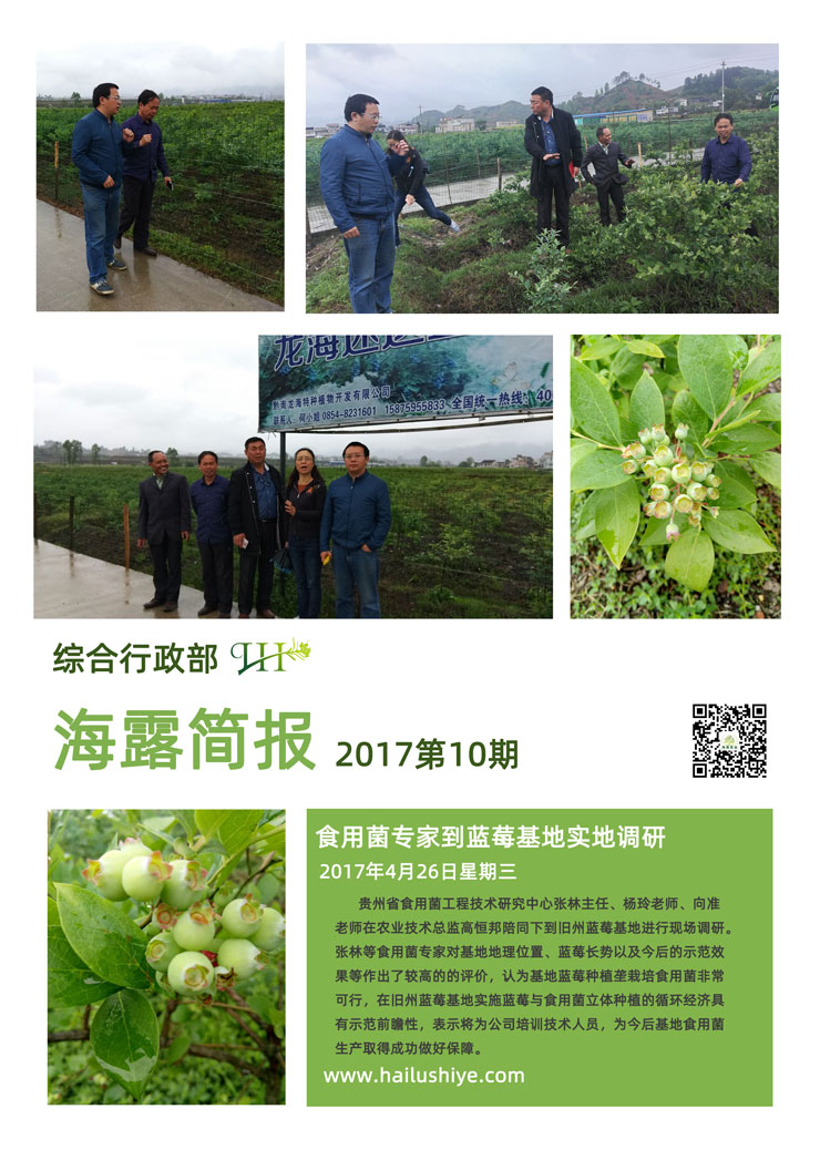 首页-PA集团有限公司官网入口