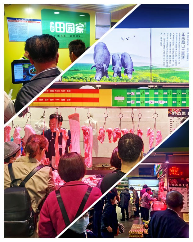 首页-PA集团有限公司官网入口