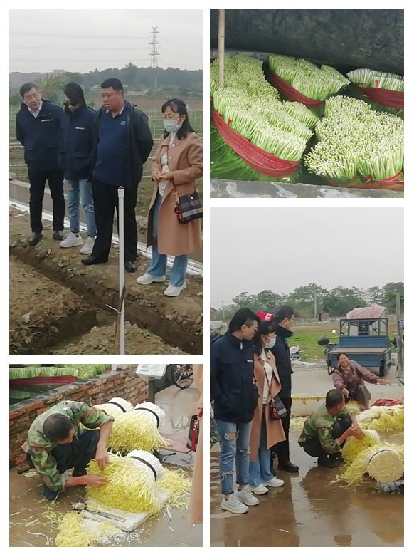 首页-PA集团有限公司官网入口