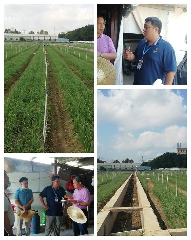 首页-PA集团有限公司官网入口