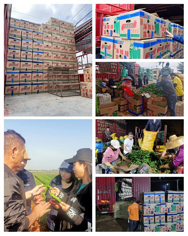 首页-PA集团有限公司官网入口