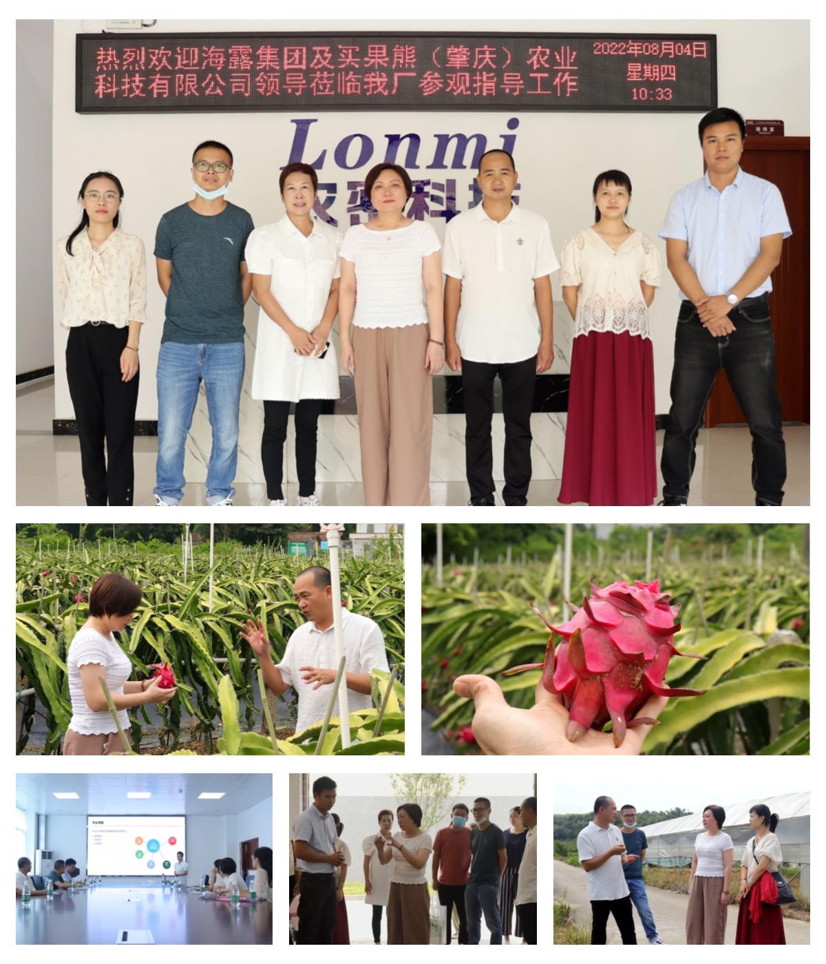 首页-PA集团有限公司官网入口