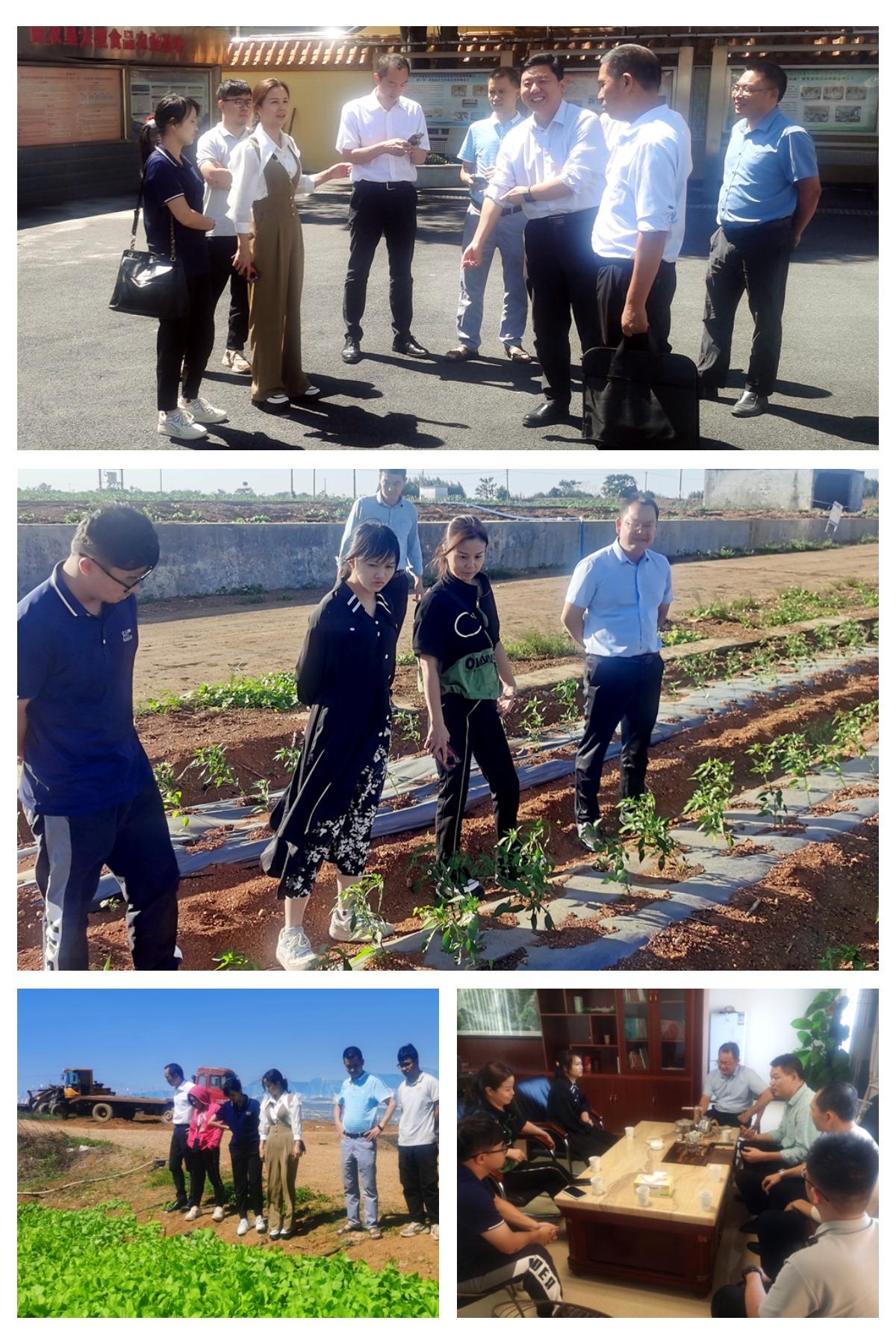 首页-PA集团有限公司官网入口