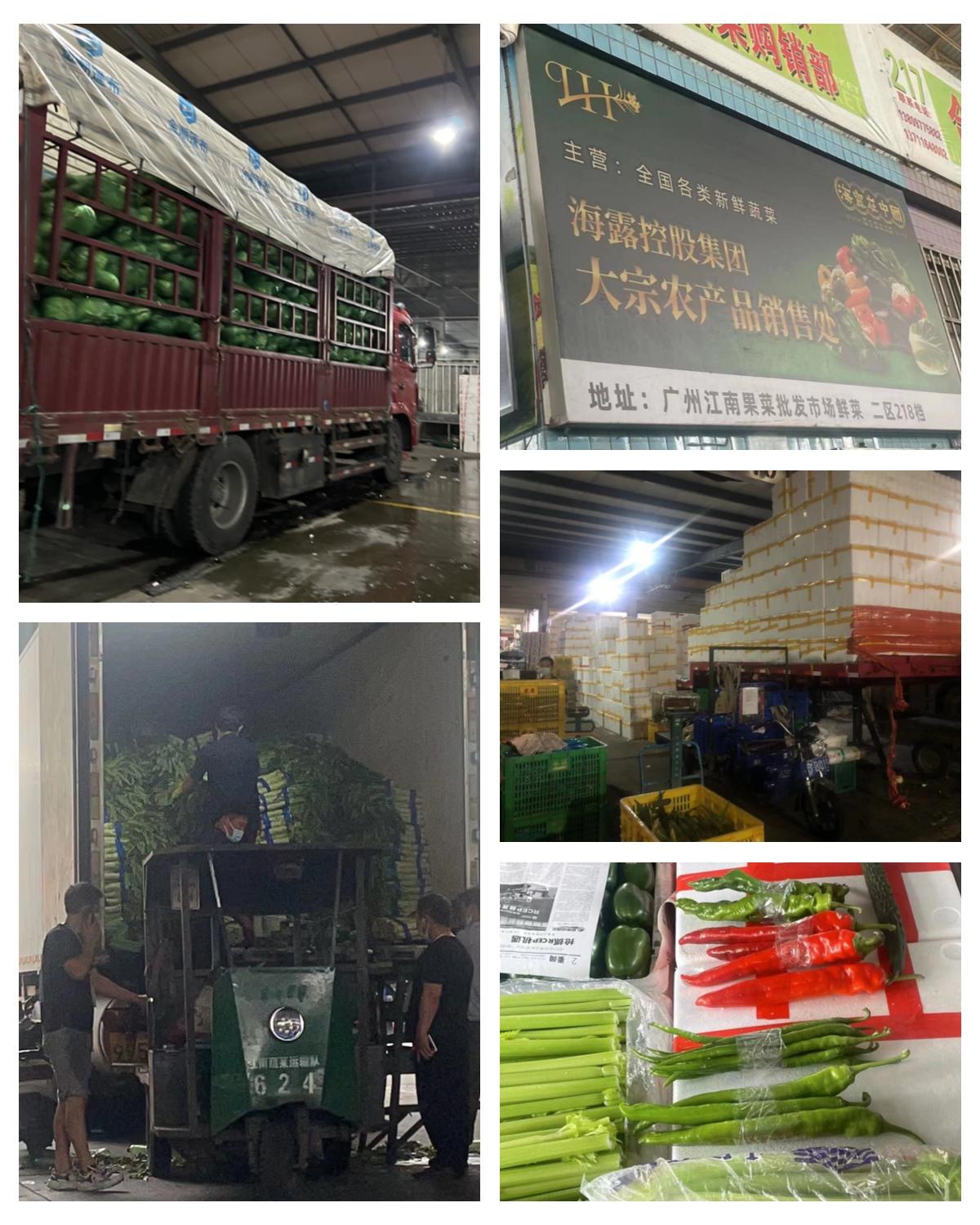 首页-PA集团有限公司官网入口