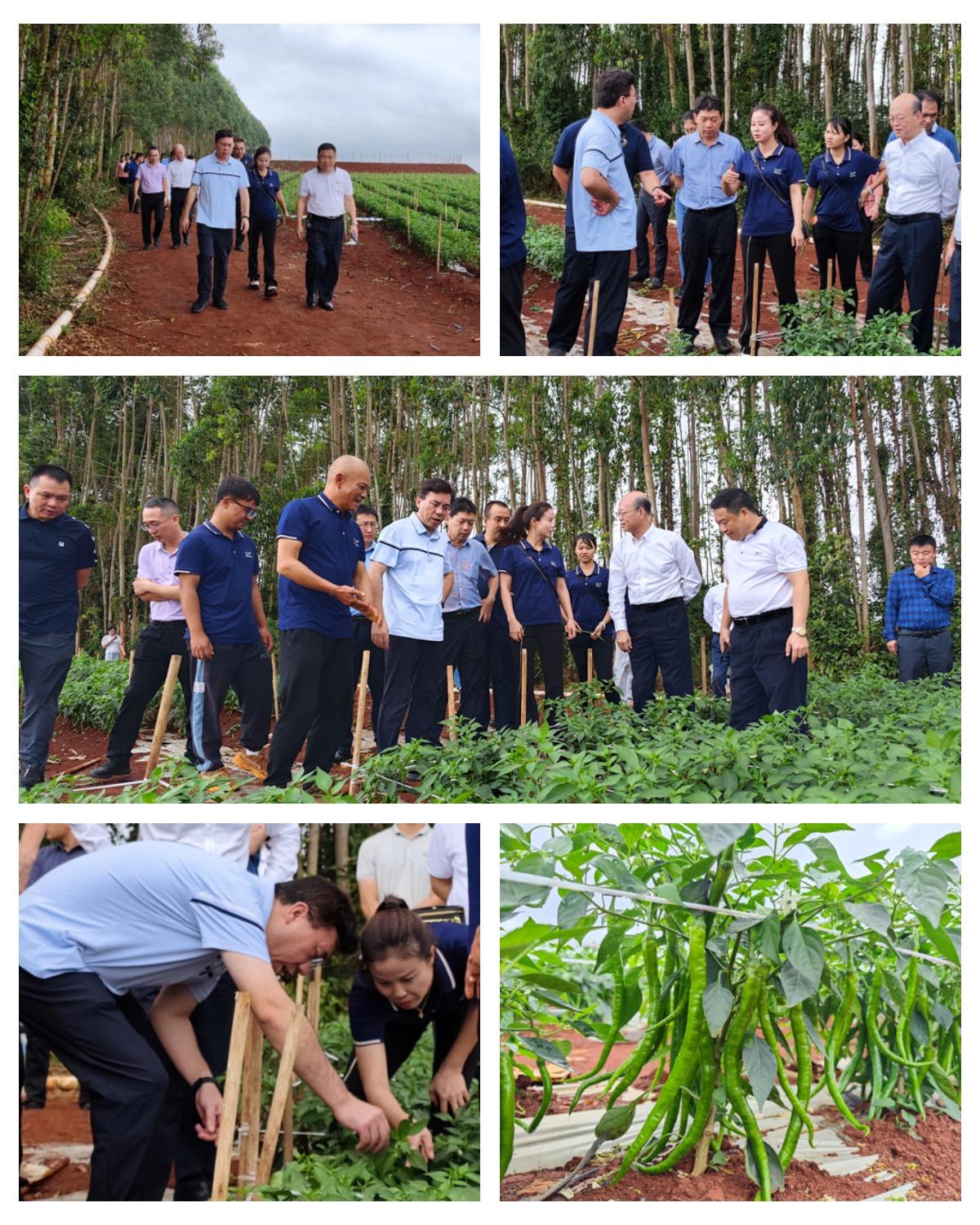 首页-PA集团有限公司官网入口