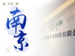 南京-高水平推动区域总部建设