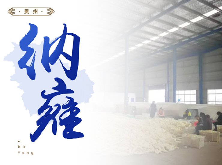 首页-PA集团有限公司官网入口