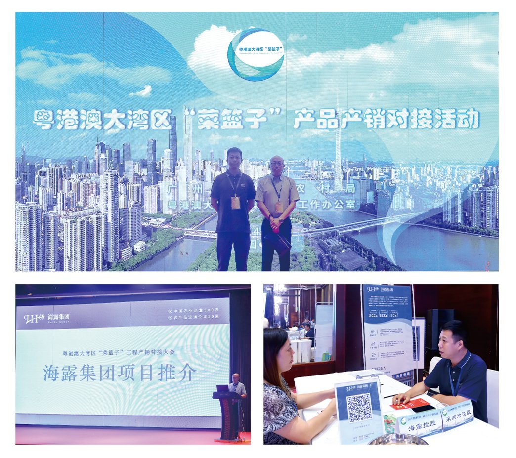 首页-PA集团有限公司官网入口