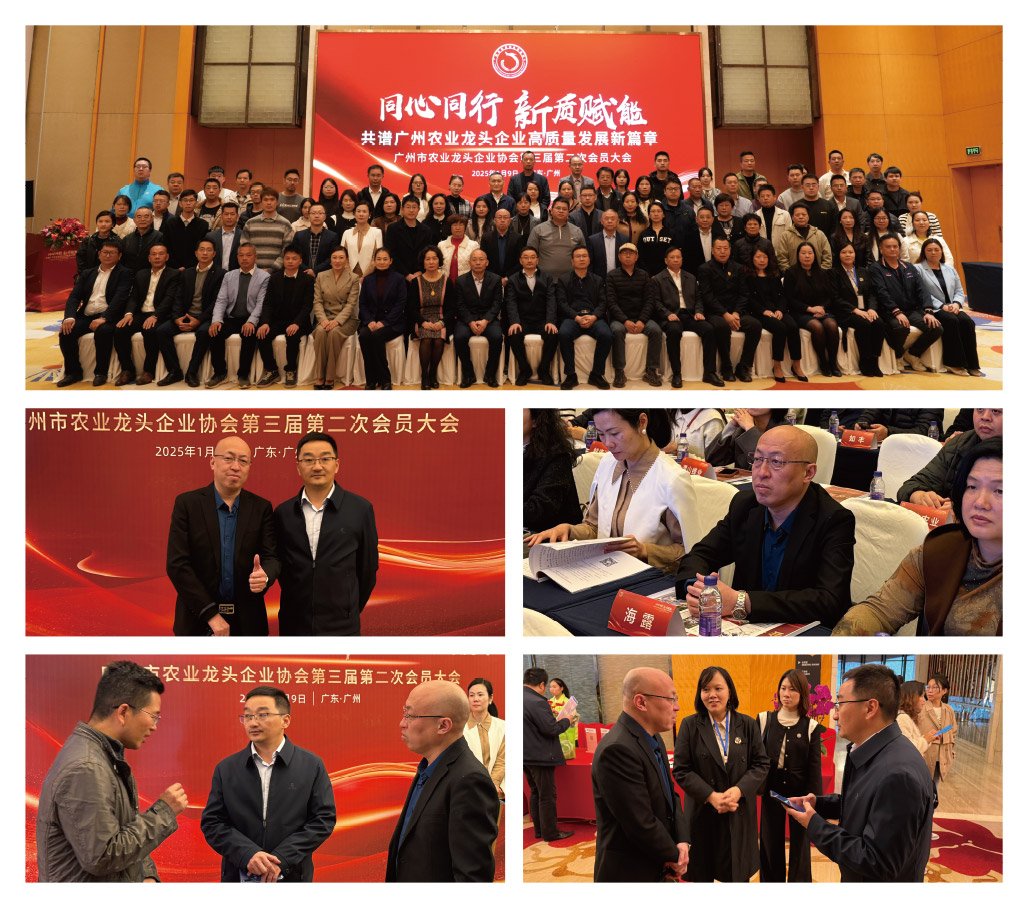 首页-PA集团有限公司官网入口