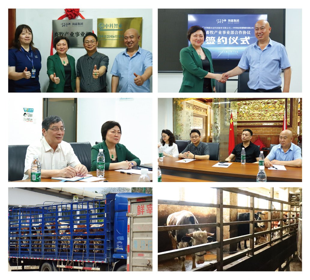 首页-PA集团有限公司官网入口