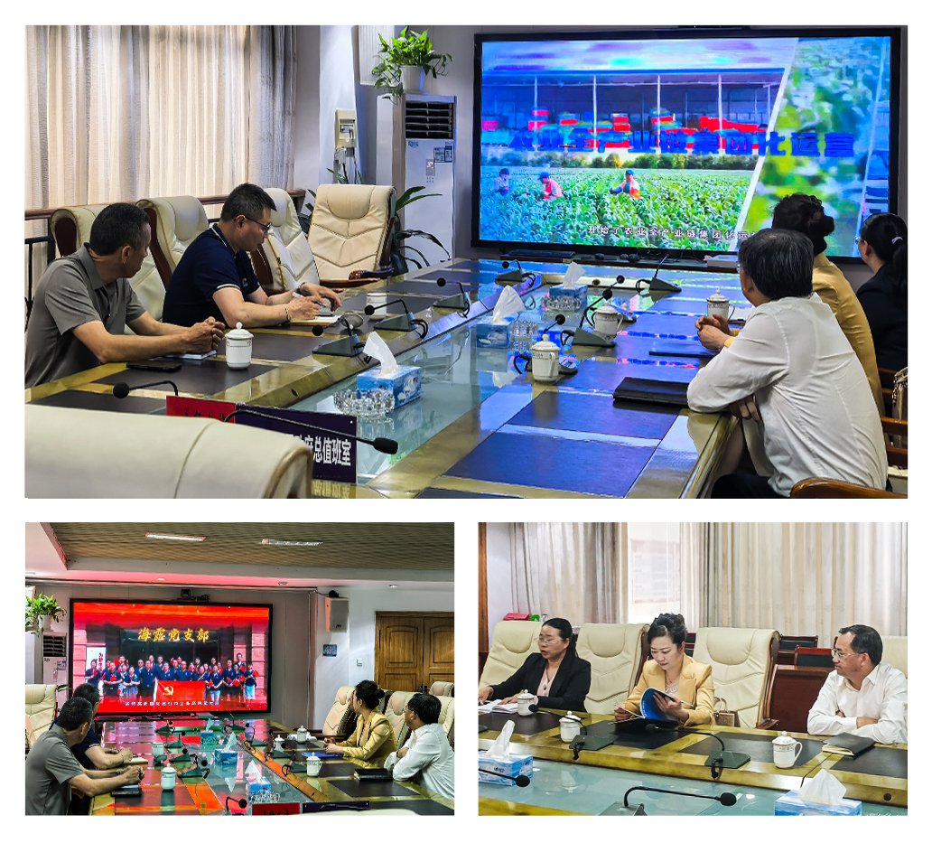 首页-PA集团有限公司官网入口