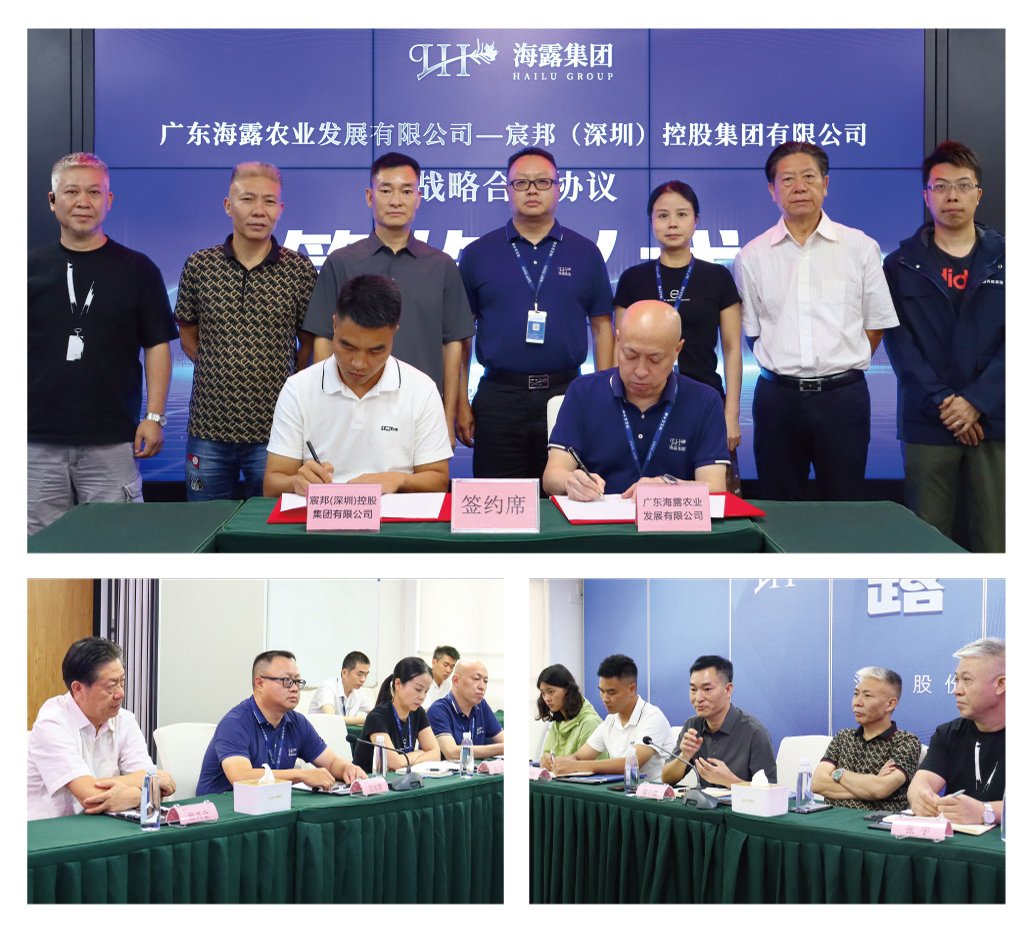 首页-PA集团有限公司官网入口