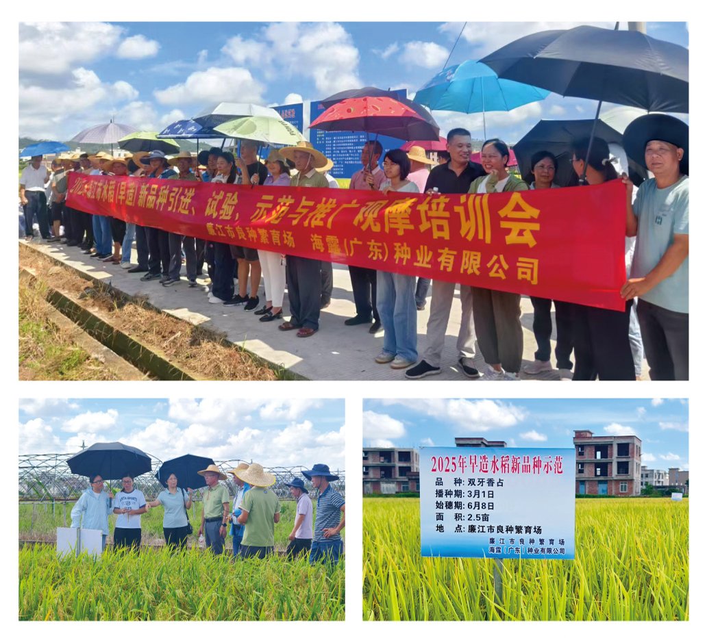 首页-PA集团有限公司官网入口