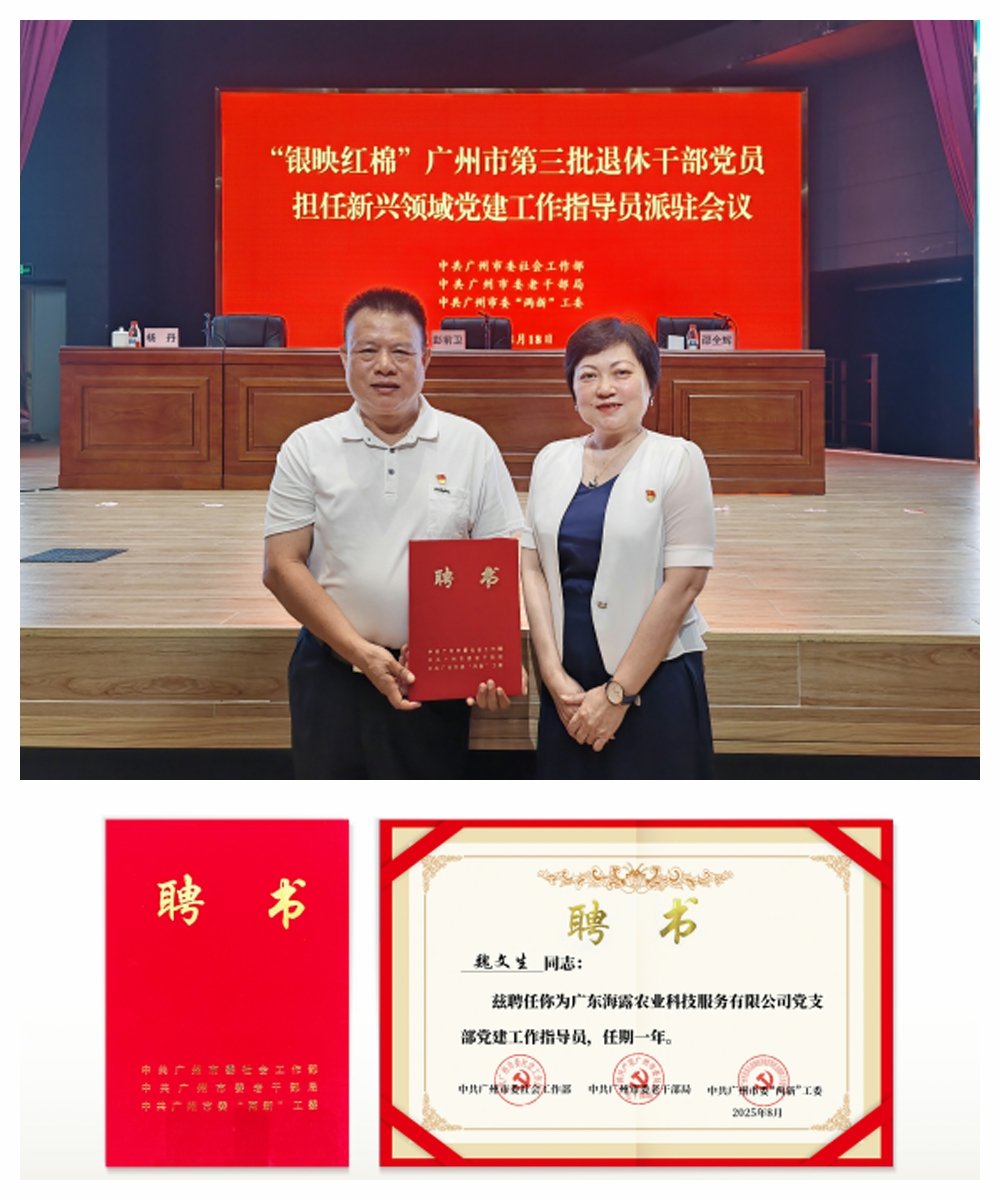 首页-PA集团有限公司官网入口