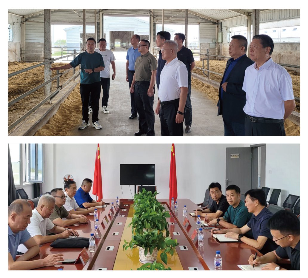 首页-PA集团有限公司官网入口