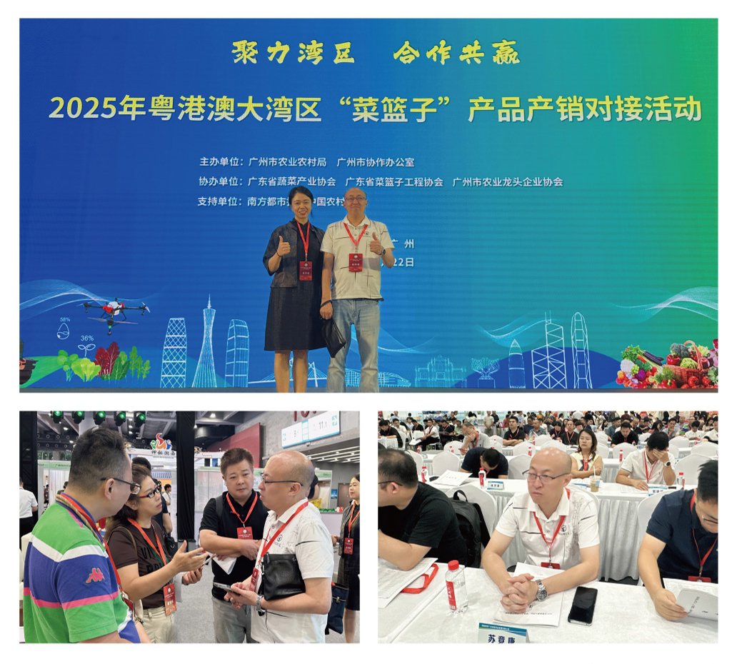 首页-PA集团有限公司官网入口