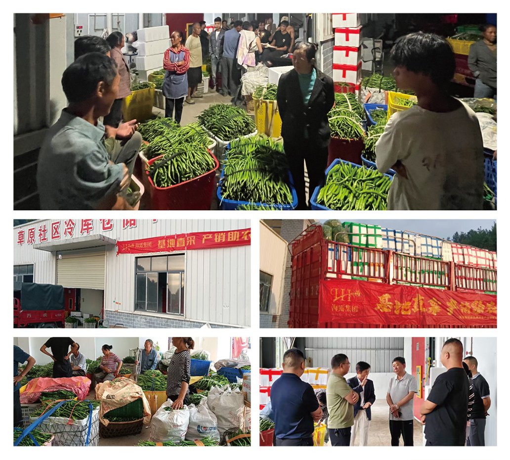 首页-PA集团有限公司官网入口