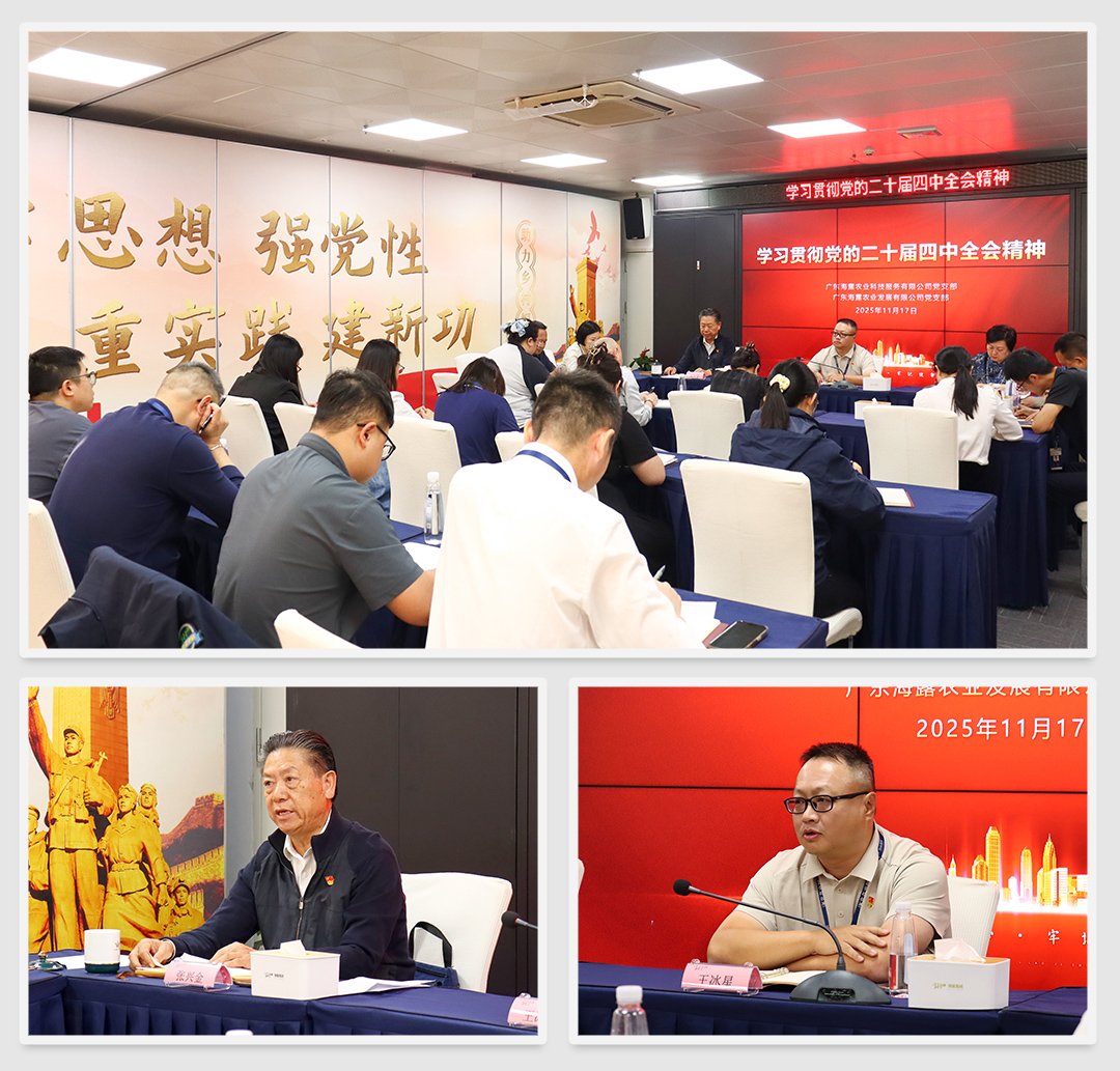 首页-PA集团有限公司官网入口