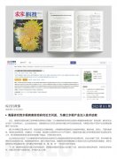 PA集团简报2025第101期