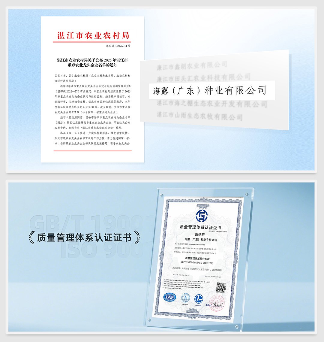 首页-PA集团有限公司官网入口