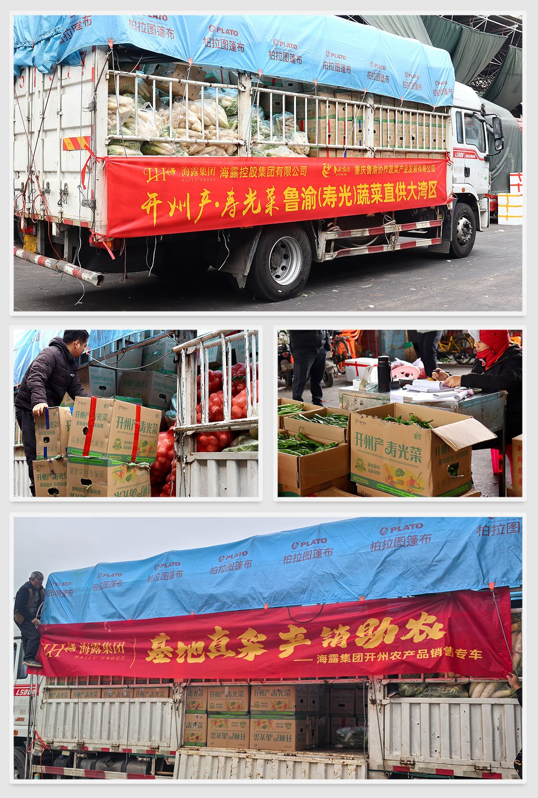 首页-PA集团有限公司官网入口